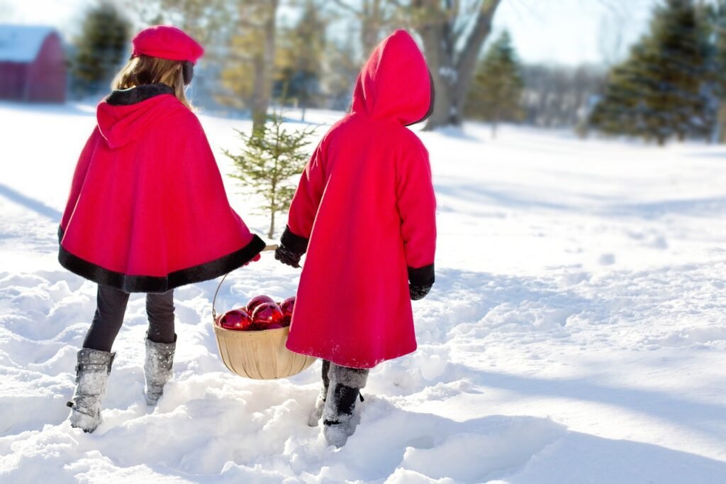 inverno estados unidos e canada